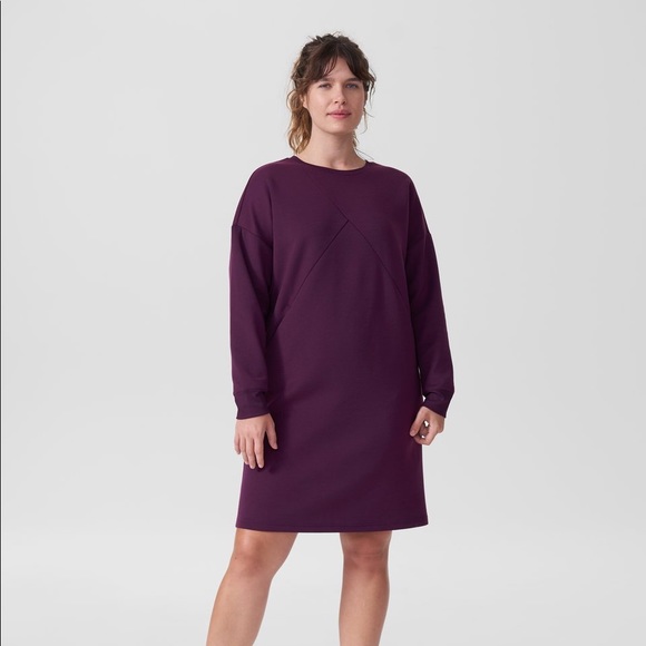 Universal Standard Dresses & Skirts - Amanda Spacer Sweatshirt Dress
